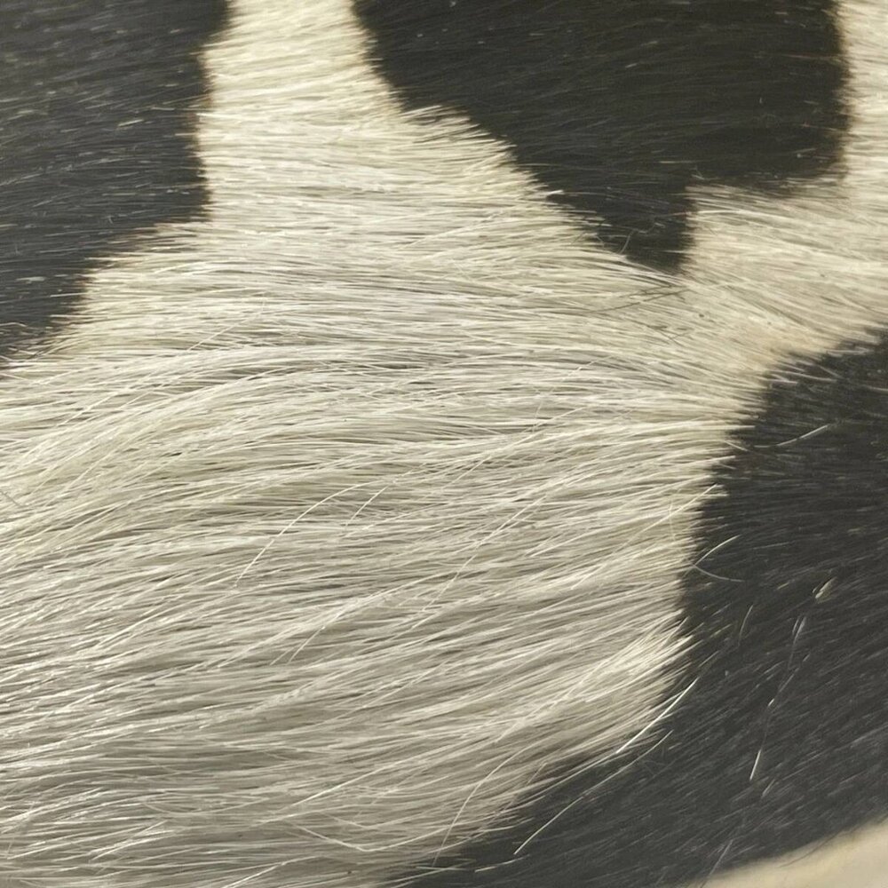 Black and White Cowhair Ankle Booties - Chunky Sole - Picture 10 of 12